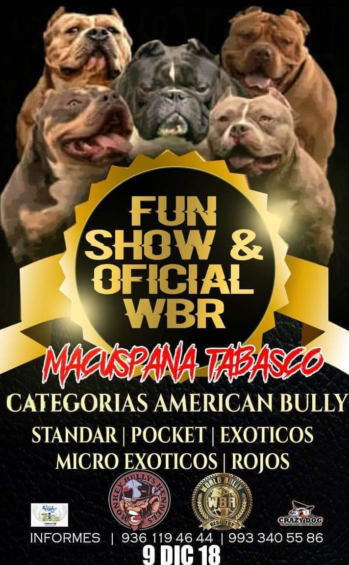 The Main Event Bully Expo by World Bully Registry - Fairplex